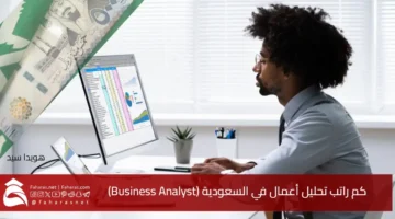 Business Analyst Salary KSA