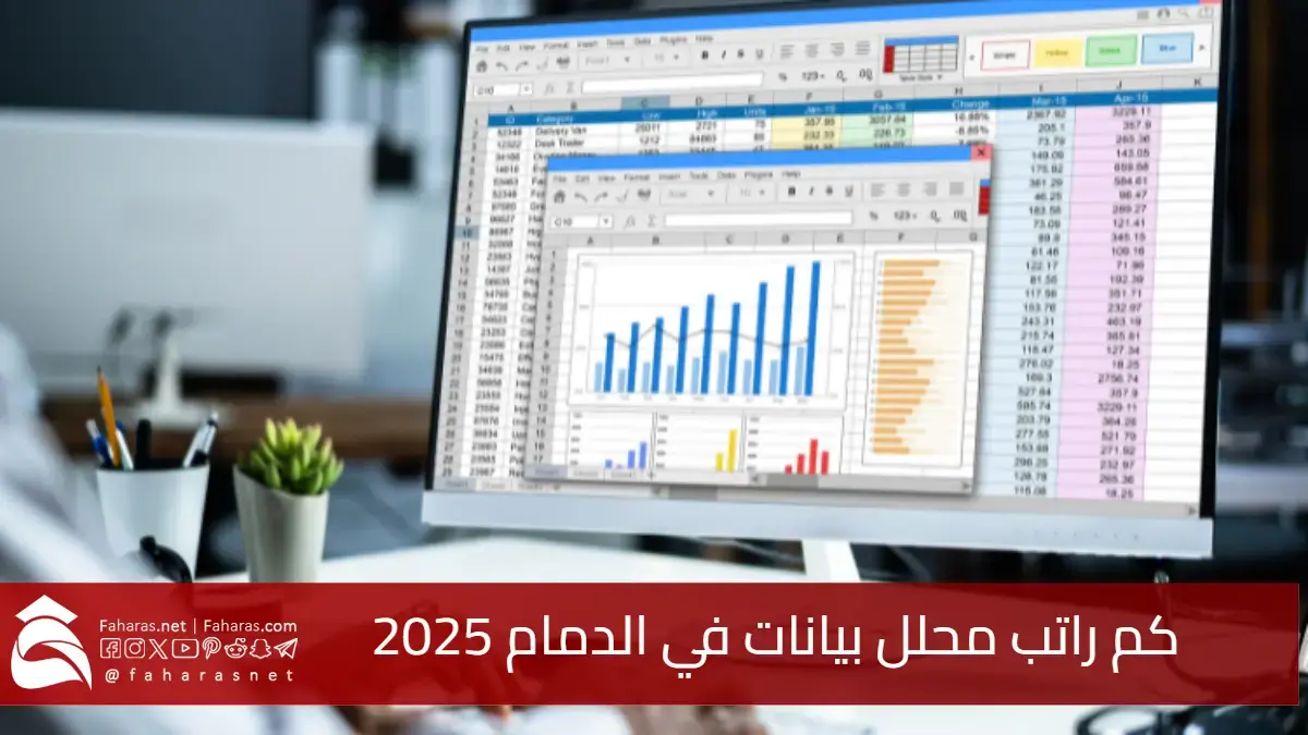 كم راتب محلل بيانات في الدمام 2025 (Data Analyst)؟ أرقام جديدة تكشف فرصًا واعدة بسوق العمل