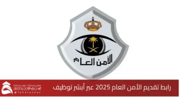 Public Security Submission