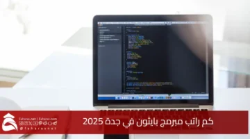 Python Programmer Salary Jeddah