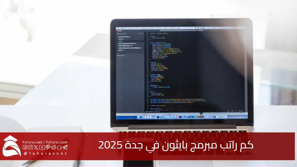 كم راتب مبرمج بايثون في جدة 2025.. فرص ورواتب مجزية للمطورين