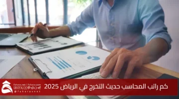 Salary newly accountant Riyadh