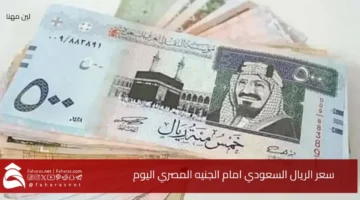 Saudi Riyals to Egyptian pounds today