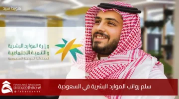 HR Salary Scale ksa
