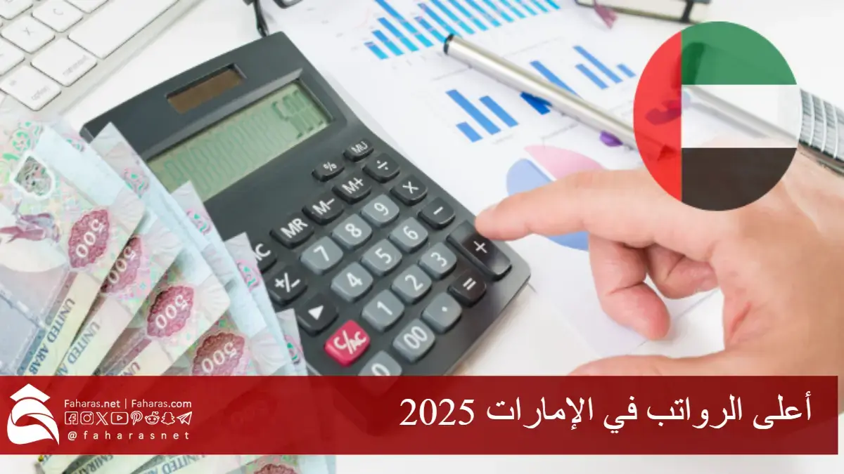 أعلى الرواتب في الإمارات 2025.. تحليل شامل للتخصصات الأعلى دخلاً