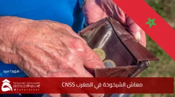 Old age pension Morocco CNSS