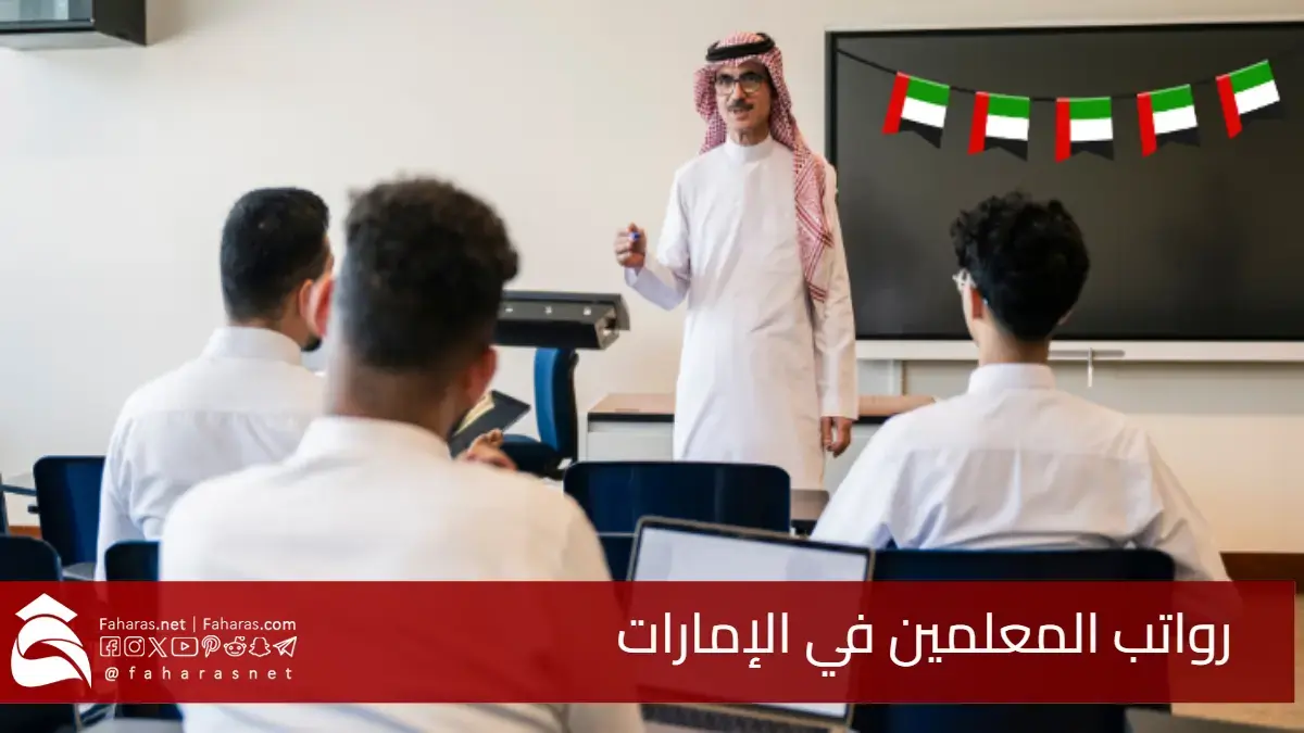 سلم رواتب المعلمين في الإمارات 2025.. دراسة للأجور حسب التخصص والخبرة
