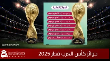 Arab Cup Qatar Awards
