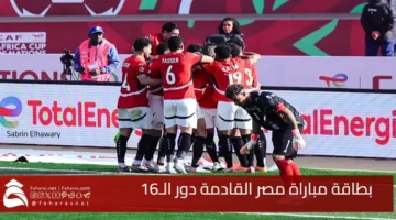 Card Egypt next match
